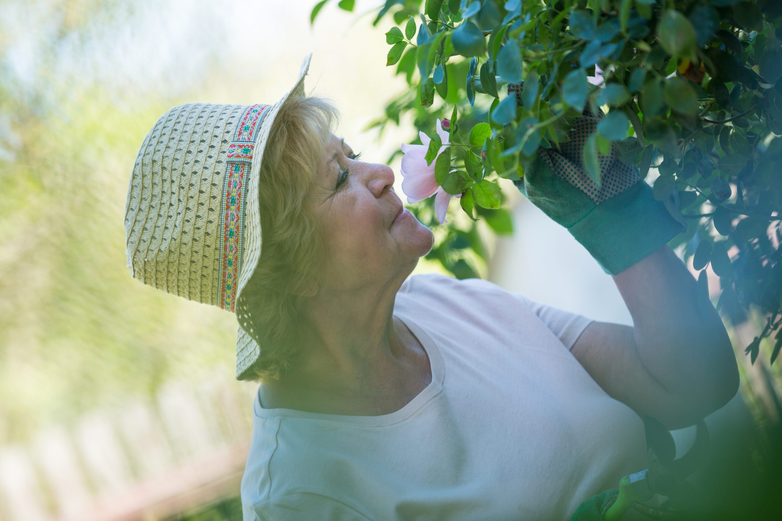 Sensory gardens and their benefits for the elderly in care
