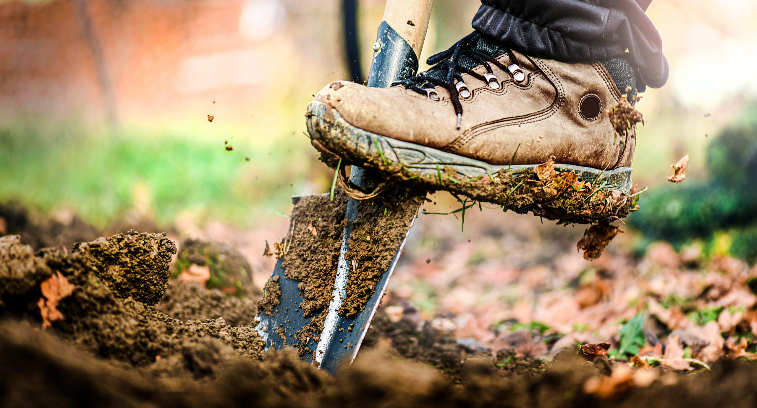 9 Tips for Preparing Your Garden for Autumn