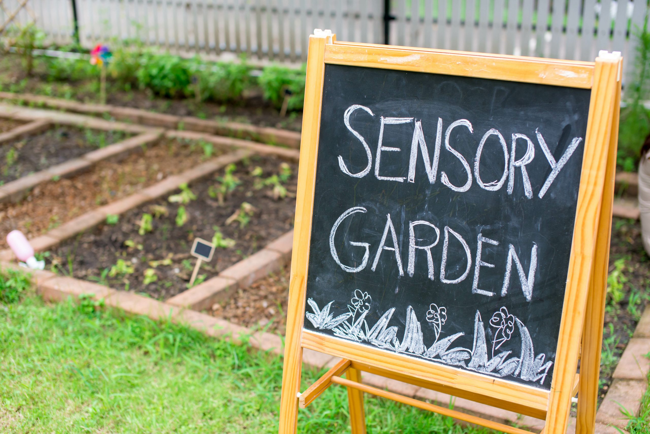 Creating a Sensory Garden: Top Tips for Gardeners in the UK