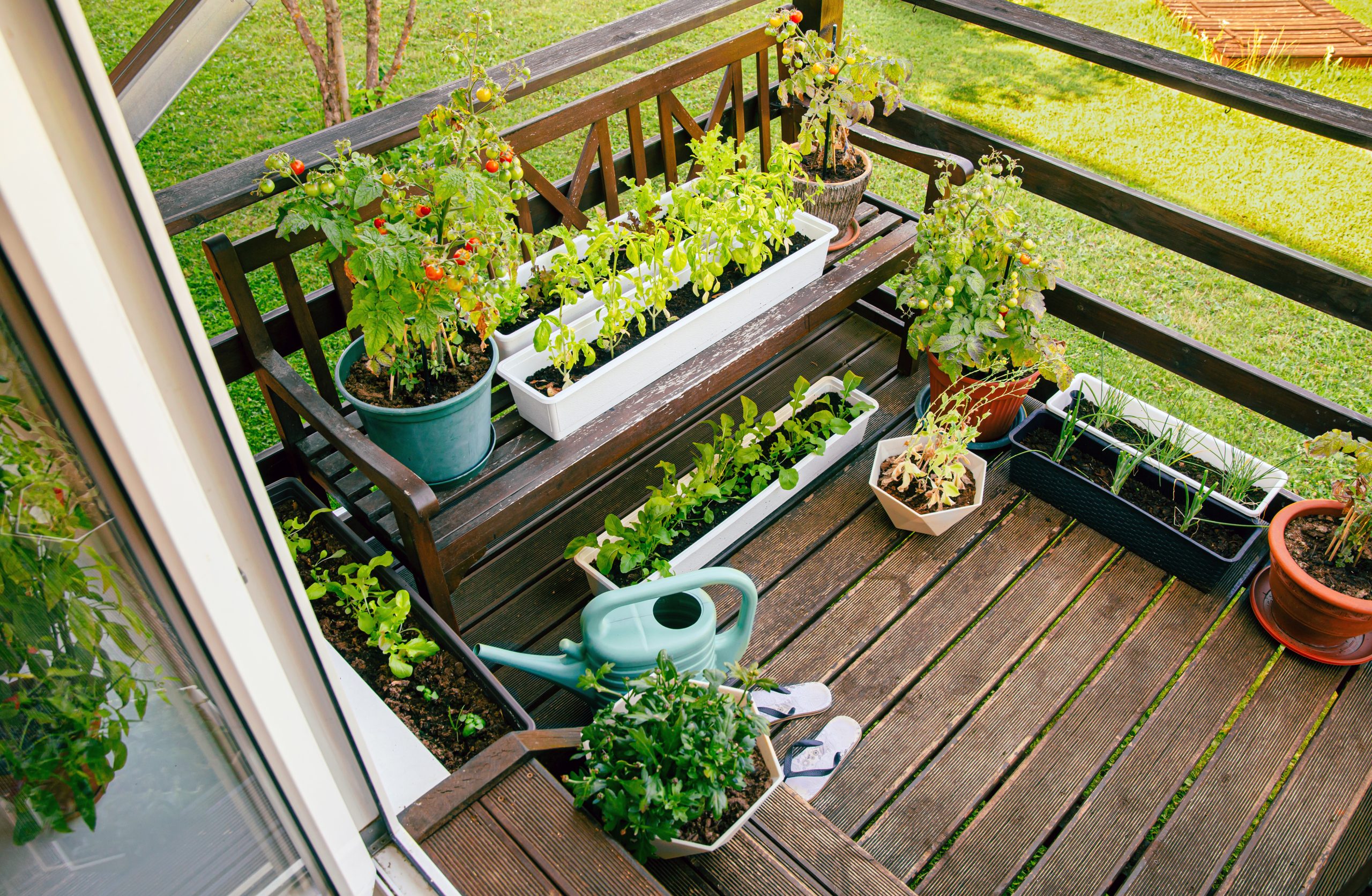 Container Vegetable Garden: A Step-by-Step Guide for Small Spaces