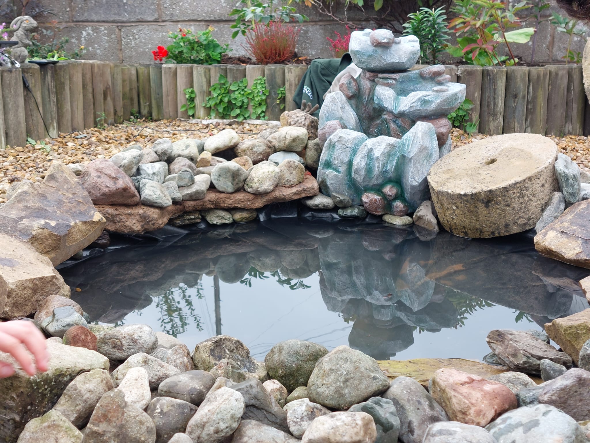 Why You Should Consider a Garden Pond: A Haven for Frogs, Birds, and Aquatic Life