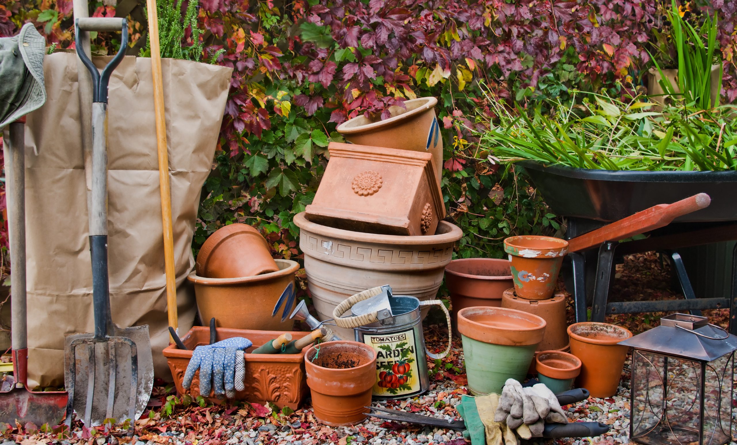 How to Get Your Garden Ready for Autumn
