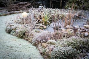 frost garden pond 