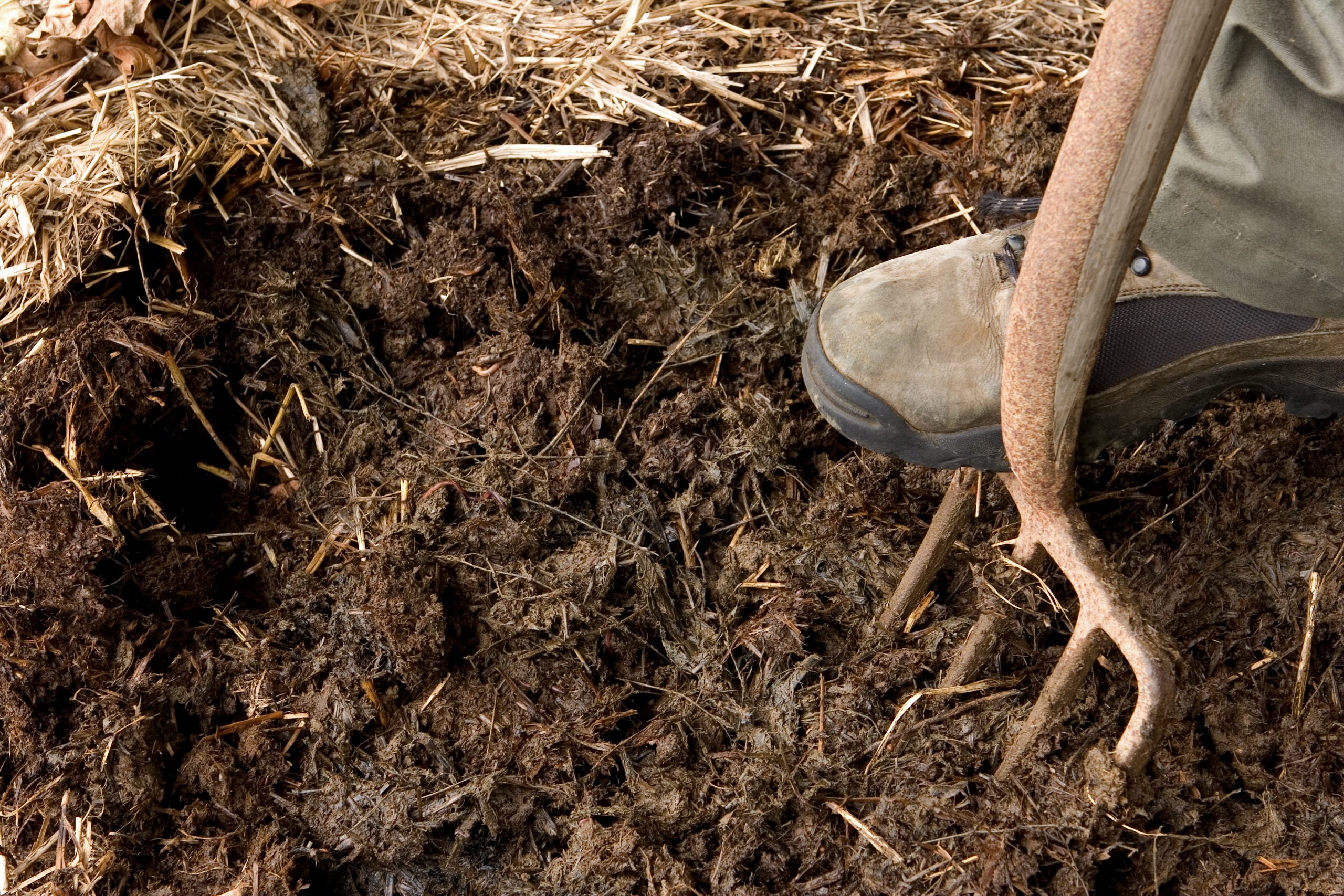 Winter Soil Care: A Step-by-Step Guide to Nurturing Your Garden for Spring